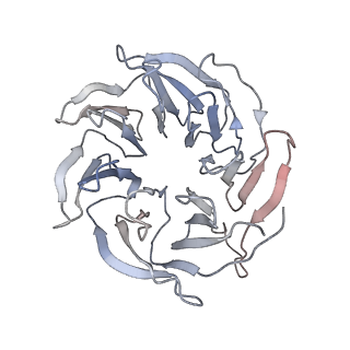 12631_7nwg_h2_v1-2
Mammalian pre-termination 80S ribosome with Hybrid P/E- and A/P-site tRNA's bound by Blasticidin S.