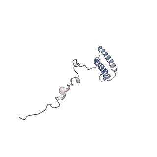 12631_7nwg_h3_v1-2
Mammalian pre-termination 80S ribosome with Hybrid P/E- and A/P-site tRNA's bound by Blasticidin S.