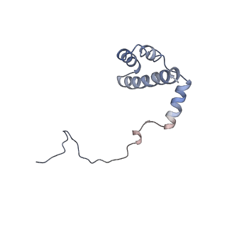 12631_7nwg_i3_v1-2
Mammalian pre-termination 80S ribosome with Hybrid P/E- and A/P-site tRNA's bound by Blasticidin S.