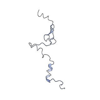 12631_7nwg_j3_v1-2
Mammalian pre-termination 80S ribosome with Hybrid P/E- and A/P-site tRNA's bound by Blasticidin S.
