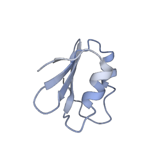 12631_7nwg_k3_v1-2
Mammalian pre-termination 80S ribosome with Hybrid P/E- and A/P-site tRNA's bound by Blasticidin S.