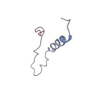 12631_7nwg_l3_v1-2
Mammalian pre-termination 80S ribosome with Hybrid P/E- and A/P-site tRNA's bound by Blasticidin S.