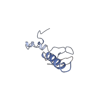 12631_7nwg_p3_v1-2
Mammalian pre-termination 80S ribosome with Hybrid P/E- and A/P-site tRNA's bound by Blasticidin S.