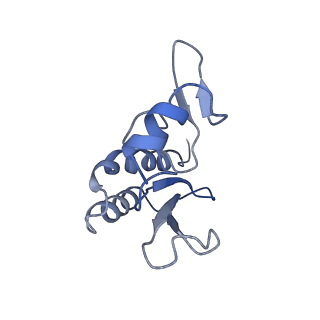 12631_7nwg_r3_v1-2
Mammalian pre-termination 80S ribosome with Hybrid P/E- and A/P-site tRNA's bound by Blasticidin S.