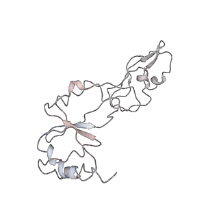 12631_7nwg_t3_v1-2
Mammalian pre-termination 80S ribosome with Hybrid P/E- and A/P-site tRNA's bound by Blasticidin S.