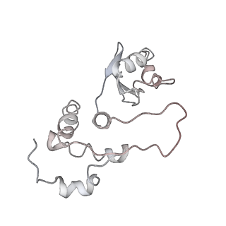 12631_7nwg_u3_v1-2
Mammalian pre-termination 80S ribosome with Hybrid P/E- and A/P-site tRNA's bound by Blasticidin S.