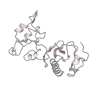 12631_7nwg_w3_v1-2
Mammalian pre-termination 80S ribosome with Hybrid P/E- and A/P-site tRNA's bound by Blasticidin S.