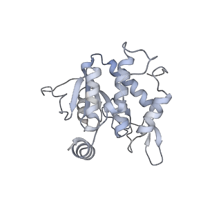 12632_7nwh_AA_v1-2
Mammalian pre-termination 80S ribosome with eRF1 and eRF3 bound by Blasticidin S.
