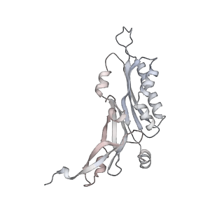 12632_7nwh_BB_v1-2
Mammalian pre-termination 80S ribosome with eRF1 and eRF3 bound by Blasticidin S.