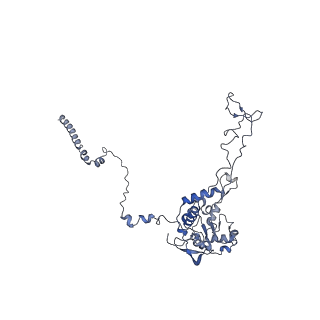 12632_7nwh_C_v1-2
Mammalian pre-termination 80S ribosome with eRF1 and eRF3 bound by Blasticidin S.