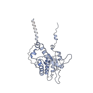 12632_7nwh_D_v1-2
Mammalian pre-termination 80S ribosome with eRF1 and eRF3 bound by Blasticidin S.