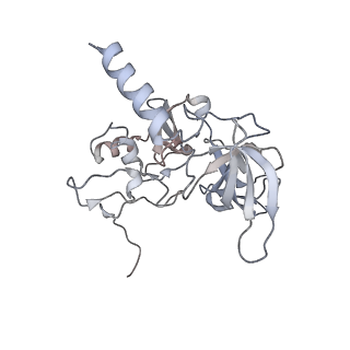 12632_7nwh_EE_v1-2
Mammalian pre-termination 80S ribosome with eRF1 and eRF3 bound by Blasticidin S.