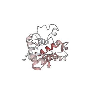 12632_7nwh_FF_v1-2
Mammalian pre-termination 80S ribosome with eRF1 and eRF3 bound by Blasticidin S.