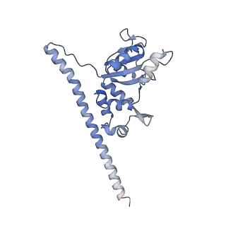 12632_7nwh_F_v1-2
Mammalian pre-termination 80S ribosome with eRF1 and eRF3 bound by Blasticidin S.