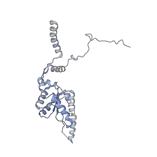 12632_7nwh_G_v1-2
Mammalian pre-termination 80S ribosome with eRF1 and eRF3 bound by Blasticidin S.