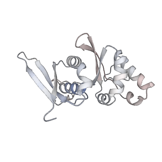 12632_7nwh_HH_v1-2
Mammalian pre-termination 80S ribosome with eRF1 and eRF3 bound by Blasticidin S.