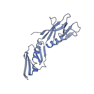 12632_7nwh_H_v1-2
Mammalian pre-termination 80S ribosome with eRF1 and eRF3 bound by Blasticidin S.