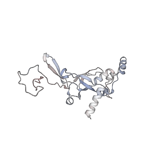 12632_7nwh_II_v1-2
Mammalian pre-termination 80S ribosome with eRF1 and eRF3 bound by Blasticidin S.