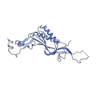 12632_7nwh_I_v1-2
Mammalian pre-termination 80S ribosome with eRF1 and eRF3 bound by Blasticidin S.
