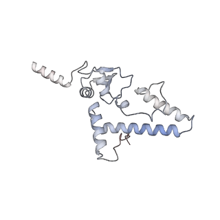 12632_7nwh_JJ_v1-2
Mammalian pre-termination 80S ribosome with eRF1 and eRF3 bound by Blasticidin S.
