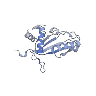12632_7nwh_J_v1-2
Mammalian pre-termination 80S ribosome with eRF1 and eRF3 bound by Blasticidin S.