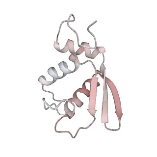 12632_7nwh_KK_v1-2
Mammalian pre-termination 80S ribosome with eRF1 and eRF3 bound by Blasticidin S.