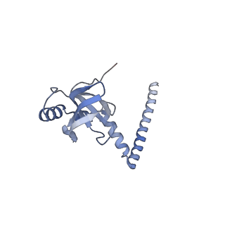 12632_7nwh_M_v1-2
Mammalian pre-termination 80S ribosome with eRF1 and eRF3 bound by Blasticidin S.