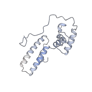 12632_7nwh_NN_v1-2
Mammalian pre-termination 80S ribosome with eRF1 and eRF3 bound by Blasticidin S.