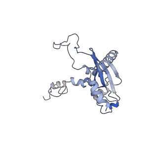 12632_7nwh_N_v1-2
Mammalian pre-termination 80S ribosome with eRF1 and eRF3 bound by Blasticidin S.