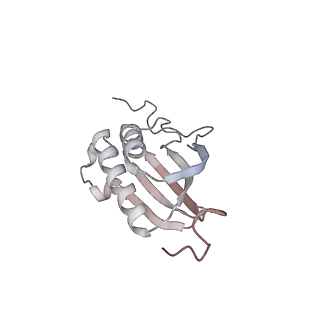 12632_7nwh_OO_v1-2
Mammalian pre-termination 80S ribosome with eRF1 and eRF3 bound by Blasticidin S.