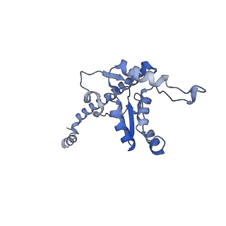 12632_7nwh_O_v1-2
Mammalian pre-termination 80S ribosome with eRF1 and eRF3 bound by Blasticidin S.