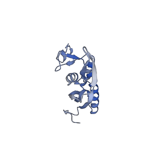 12632_7nwh_P_v1-2
Mammalian pre-termination 80S ribosome with eRF1 and eRF3 bound by Blasticidin S.