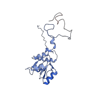 12632_7nwh_Q_v1-2
Mammalian pre-termination 80S ribosome with eRF1 and eRF3 bound by Blasticidin S.