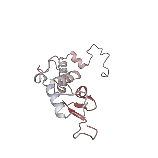 12632_7nwh_SS_v1-2
Mammalian pre-termination 80S ribosome with eRF1 and eRF3 bound by Blasticidin S.