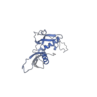 12632_7nwh_S_v1-2
Mammalian pre-termination 80S ribosome with eRF1 and eRF3 bound by Blasticidin S.