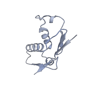 12632_7nwh_U_v1-2
Mammalian pre-termination 80S ribosome with eRF1 and eRF3 bound by Blasticidin S.