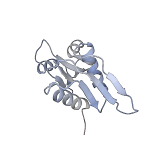 12632_7nwh_WW_v1-2
Mammalian pre-termination 80S ribosome with eRF1 and eRF3 bound by Blasticidin S.
