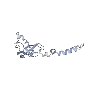 12632_7nwh_XX_v1-2
Mammalian pre-termination 80S ribosome with eRF1 and eRF3 bound by Blasticidin S.