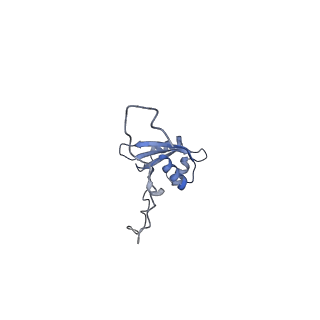 12632_7nwh_X_v1-2
Mammalian pre-termination 80S ribosome with eRF1 and eRF3 bound by Blasticidin S.