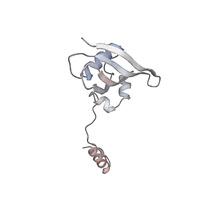 12632_7nwh_YY_v1-2
Mammalian pre-termination 80S ribosome with eRF1 and eRF3 bound by Blasticidin S.