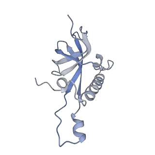 12632_7nwh_Z_v1-2
Mammalian pre-termination 80S ribosome with eRF1 and eRF3 bound by Blasticidin S.