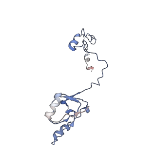 12632_7nwh_a_v1-2
Mammalian pre-termination 80S ribosome with eRF1 and eRF3 bound by Blasticidin S.