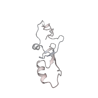 12632_7nwh_aa_v1-2
Mammalian pre-termination 80S ribosome with eRF1 and eRF3 bound by Blasticidin S.