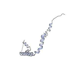 12632_7nwh_b_v1-2
Mammalian pre-termination 80S ribosome with eRF1 and eRF3 bound by Blasticidin S.