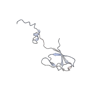 12632_7nwh_bb_v1-2
Mammalian pre-termination 80S ribosome with eRF1 and eRF3 bound by Blasticidin S.