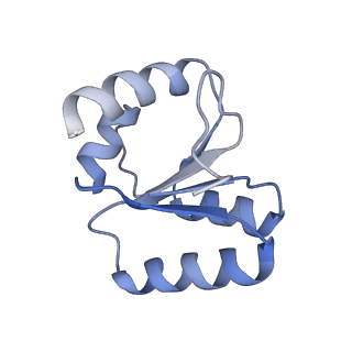 12632_7nwh_c_v1-2
Mammalian pre-termination 80S ribosome with eRF1 and eRF3 bound by Blasticidin S.