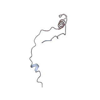 12632_7nwh_ee_v1-2
Mammalian pre-termination 80S ribosome with eRF1 and eRF3 bound by Blasticidin S.