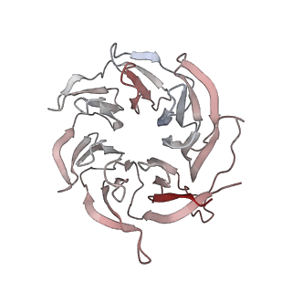 12632_7nwh_gg_v1-2
Mammalian pre-termination 80S ribosome with eRF1 and eRF3 bound by Blasticidin S.