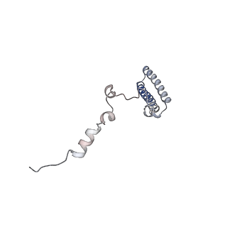12632_7nwh_h_v1-2
Mammalian pre-termination 80S ribosome with eRF1 and eRF3 bound by Blasticidin S.