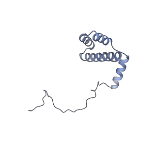 12632_7nwh_i_v1-2
Mammalian pre-termination 80S ribosome with eRF1 and eRF3 bound by Blasticidin S.